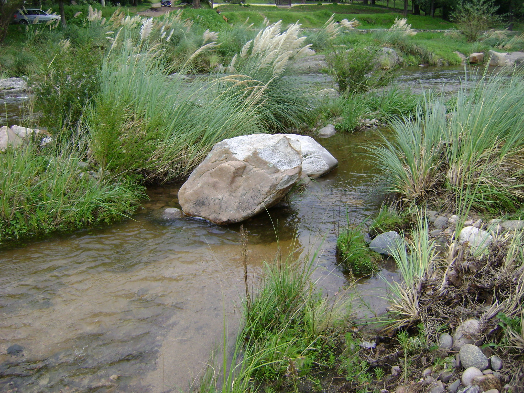 fotos/2011 - Los Reartes/DSC03479.JPG